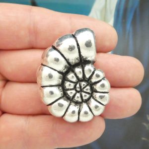 sea shell pendant