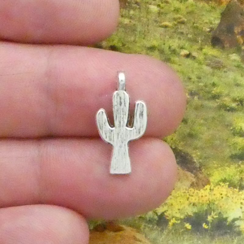 Cactus Charm