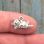 Cat Charm