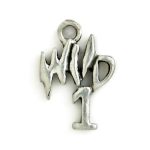 5 Silver Wild One Teen Charm 20x14mm by TIJC SP0698