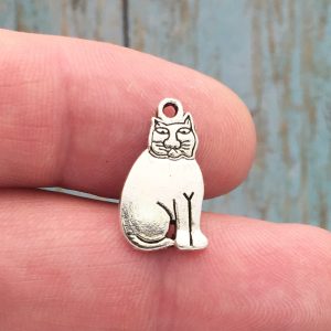 cat charm