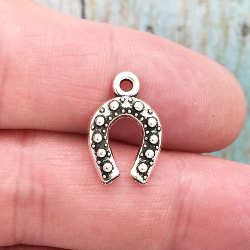 horseshoe charm