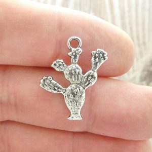 Cactus Charm