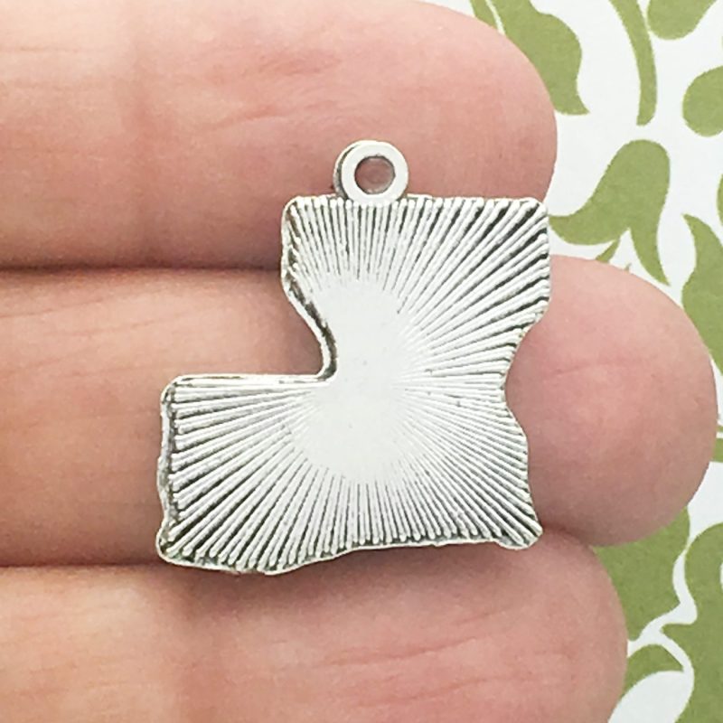 Bulk 15 Silver Louisiana Charm State Pendant 23x20mm by TIJC SP1487B - Image 2