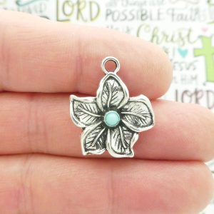 Hibiscus Charm