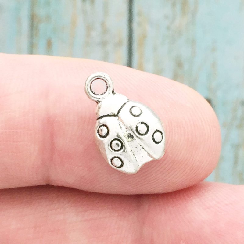 Ladybug Charm