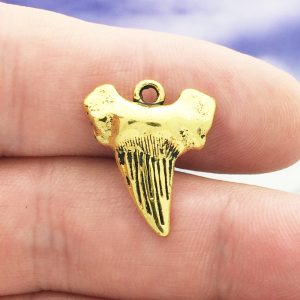 Shark Tooth Charm
