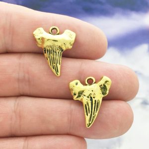 Shark Tooth Pendant